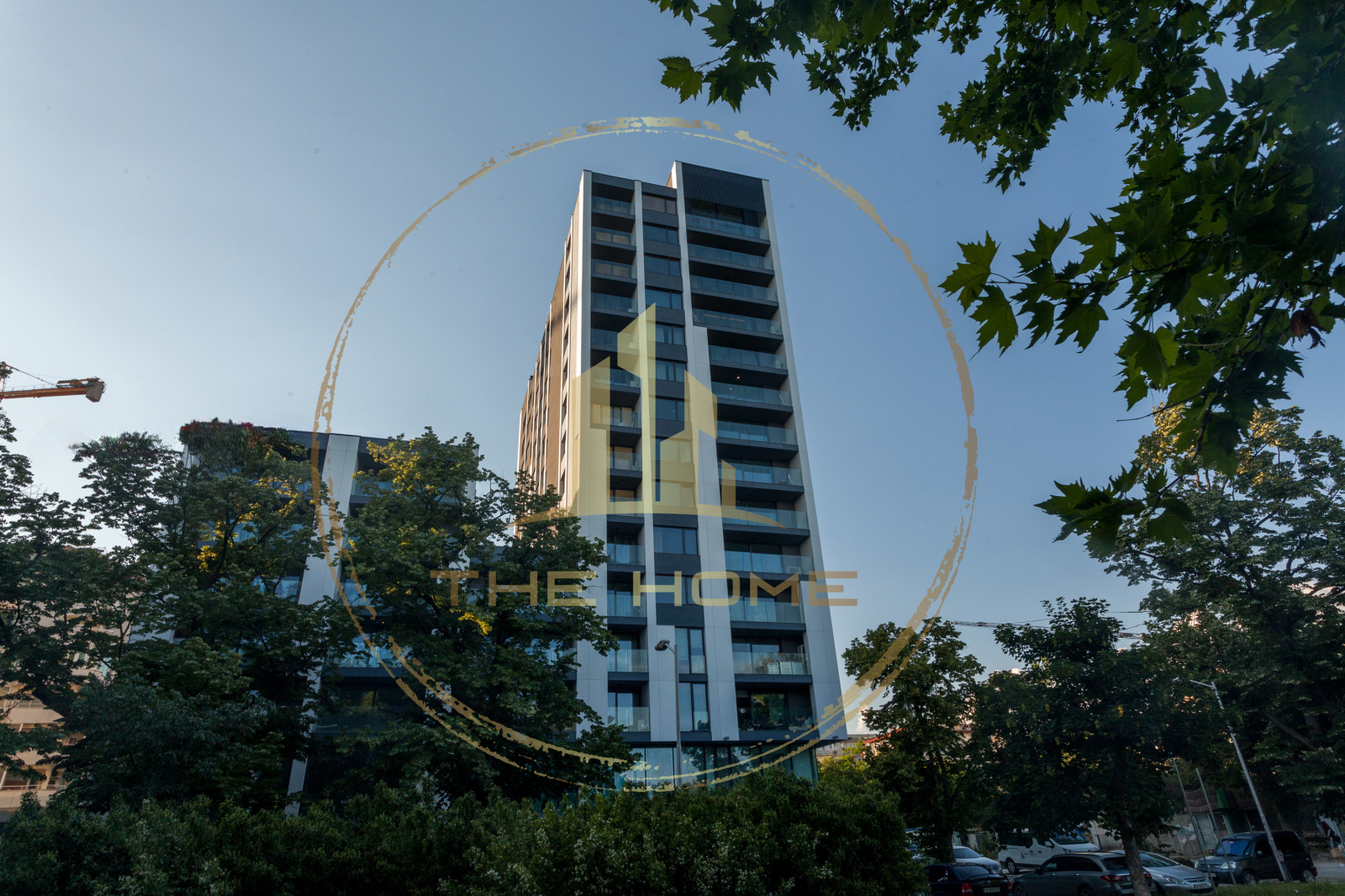 property header pic